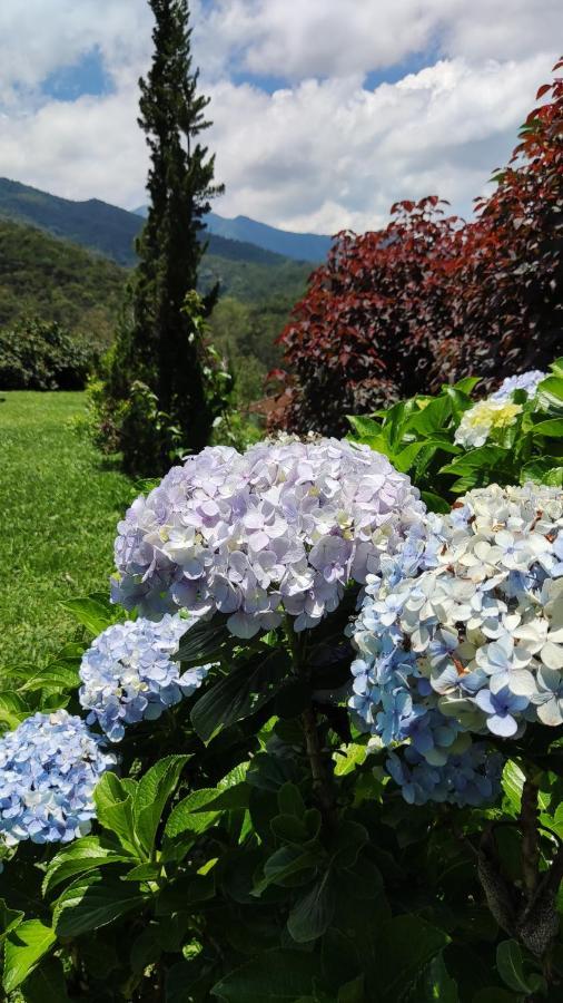 Holiday home Casa Recanto Caejo